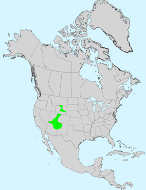 North America species range map for Badlands Mule-Ears, Scabrethia scabra: Click image for full size map.